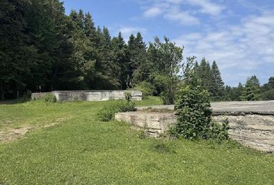 PREDEAL - Teren intravilan 6,000 m² -Poiana Secuilor - 5