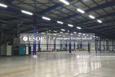 CTPark Timisoara, hale industriale, 0%comision, 4.500 - 48.200mp - 4