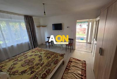 Casa cu 2 camere, 300 mp teren, pretabila pt. muncitori, Cetate - 5