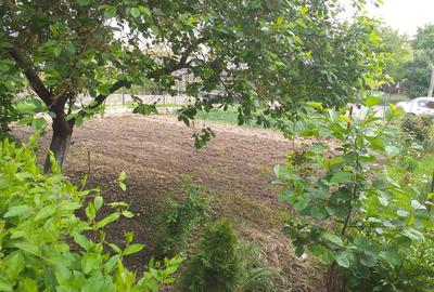 Teren intravilan de 2479mp - 1