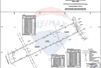 Teren intravilan 11.500 mp – Strada Cismari Vălenii de Munte - 7
