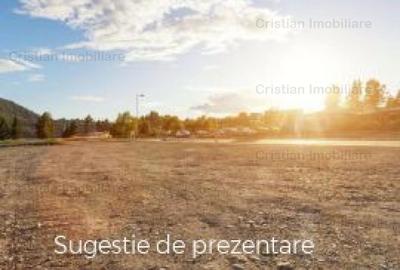 CENTURA 15E mp , intravilan de constructii - 10.000 mp deschidere 20mp - 1