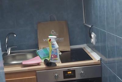 Apartament cu 1 cameră, etajul 3/9, zona Podu Ros - 4