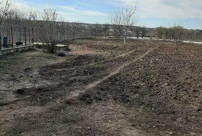 Teren la Lac intravilan construcții Corbeanca Ilfov - 6