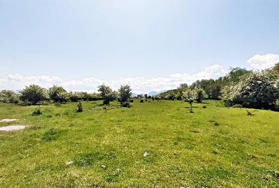 Sanpetru teren pentru dezvoltare imobiliara 4318mp, 55 euro/mp - 5