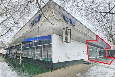 Spatiu Comercial, 250mp, Narcisa-ONIX - 1