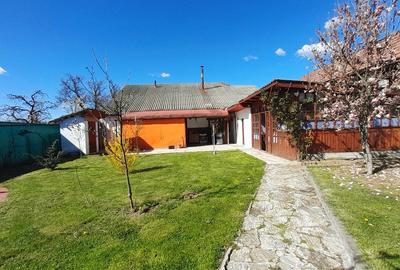 Vanzare proprietate - casa si teren  Voinesti Dambovita - 10