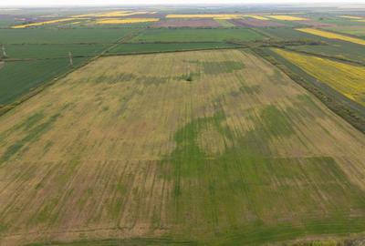 Teren investițional strategic 44.700 mp Arad Vest - 7