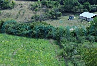 Teren intravilan de vanzare, Betfia - 1