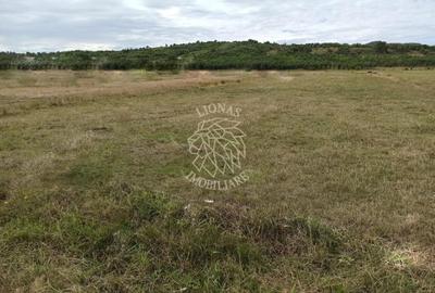 TEREN INTRAVILAN 5000 mp-ideal case,hale-Livezile PRET PROMO! - 1