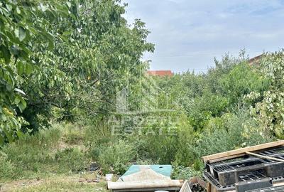 Teren 1084 mp in Dumbravita pentru duplex, vatra satului - 1