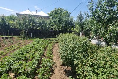 Casa cu etaj zona Bucovina - 12