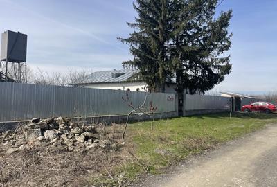 Mitreni-Valea Rosie-Acasa la Tara -4 camere-178 mp-LOT  1000 mp+Casa secundara - 44