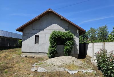 Vand Casa 2 camere 153mp Rusanesti, Olt - 13