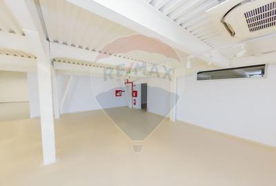 LUX! De inchiriat SPATIU COMERCIAL cu birouri, magazie și acces TIR - 21
