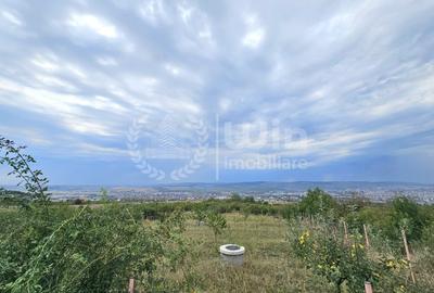 Teren intravilan 580mp | Front 23m | Cartier Iris | Zona Auchan! - 3