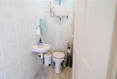 Vila in stil Art Nouveau (Targu Mures, str. Alexandru Papiu Ilarian) - 29