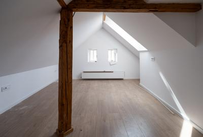 Spațiu de Birou I 100 Mp I Grădină + Boxă I Semicentral - 10