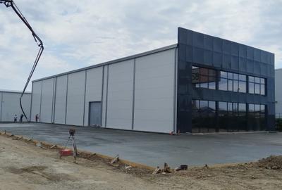 Hale industriale - Voluntari Afumati - 1