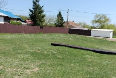 Teren extravilan 7.200 mp Bordea - Grajduri/ Oportunitate Investiție - 11