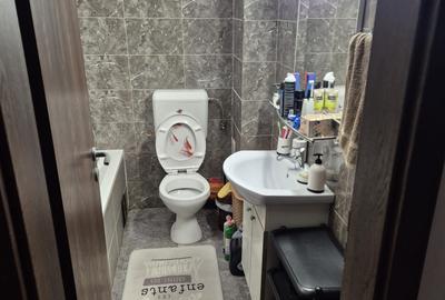 VITAN-APARTAMENT MOBILAT 50 MP-LANGA PARCUL TEILOR - 7