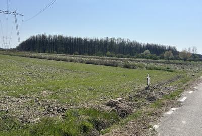 Teren de vânzare 4760Mp Stoilesti - 6