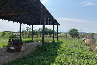 Atelier de inchiriat in localitatea Sabolciu, Bihor - 4