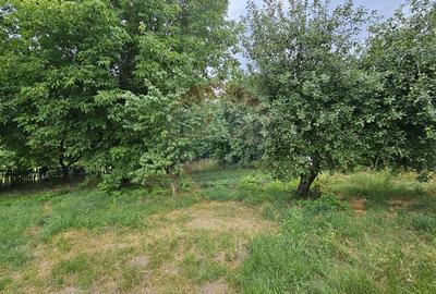 Teren Construcții intravilan de 2036 mp, în Pădureni (Șendriceni)