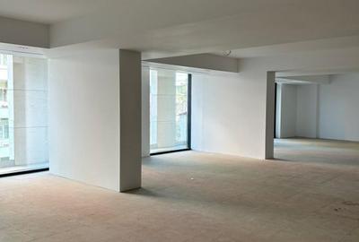 Eminescu Offices – Birouri clasa A de inchiriat pe Strada Mihai Eminescu- Romana - 13