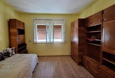 Casă de vânzare în inima naturii – Ludești, județul Hunedoara - 8