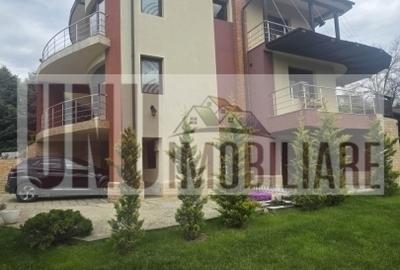 Casă individuală Bucium, Plopii fără Soț - 15