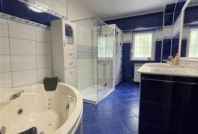 Apartament cu 3 camere de inchiriat zona Babadag-Peco Tulcea - 16