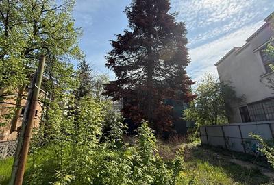 REL4001296 Teren Aviatorilor - 1