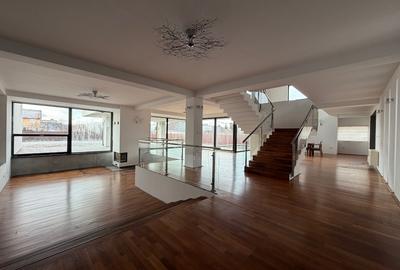Vila / Birouri / Clinica  650 mp + 3000 mp teren - 12