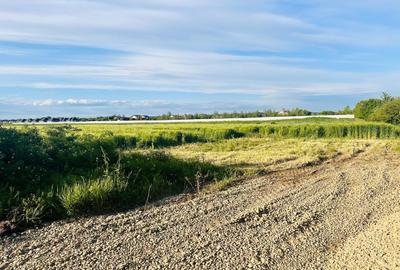 TEREN INTRAVILAN |  1000 mp | CORBEANCA | TAMASI | PADURE | - 3