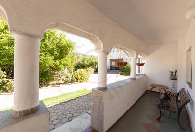 Casa visurilor cu livada roditoare si gradina amenajata Darmanesti-Arges - 8