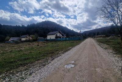 Oportunitate ! Teren cu potențial de investiție,Cristian - 2