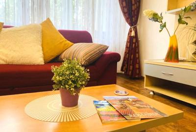 Apartament cu 2 camere decomandat, pet-friendly, Bulevardul Unirii - Fantani - 3