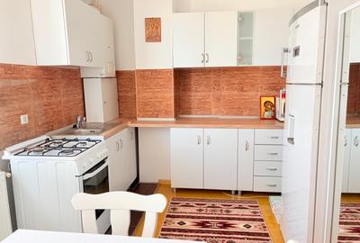 Apartament//Studio cochet zona 1Mai-Pta Chibrit//Mobilat-Utilat//Boxa subsol - 8