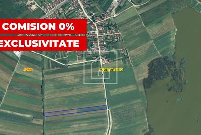 Comision 0, teren 10 000 mp in Bradu Sibiu, acces facil aproape de Olt