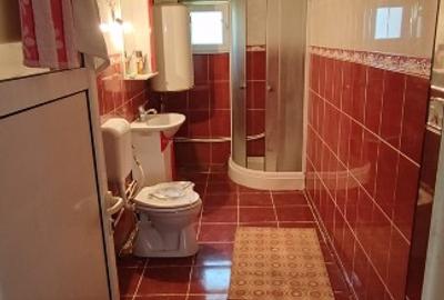 Casa+ casa batraneasca Surupate(Comuna Francesti, Valcea) - 11