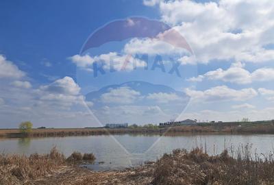 Teren Frumusani DN4 2000 mp + 5000 mp  deschidere Lac Pasarea - 1