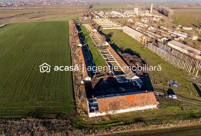NĂDLAC | Teren 1.15 HA lângă Autostradă | 2.500mp Hale - 4