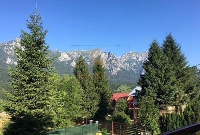 Dimineti cu munti la fereastra – proprietate unica - 11