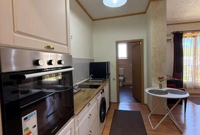 Apartament de închiriat, 1 cameră, 40 mp, Borhanci zona Romul Ladea - 6