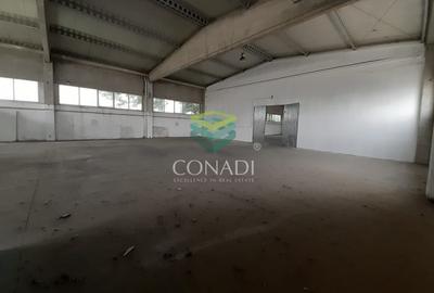 Zona DNCB Clinceni De inchiriat Hala C1 - 2