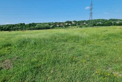 Teren intravilan in Rachiti - 3