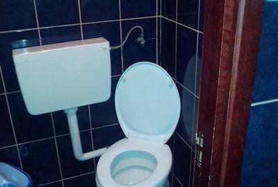 Spatiu comercial 120mp   Stradal la subsol  - Stefan cel Mare - 4