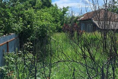 Casă cu teren de 1.000 mp, poziție excelentă și potențial de dezvoltare - 2