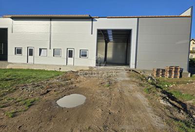 Spatiu Industrial - Gilau - Constructie Noua - 14
